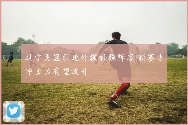 辽宁男篮引进外援补强阵容 新赛季冲击力有望提升