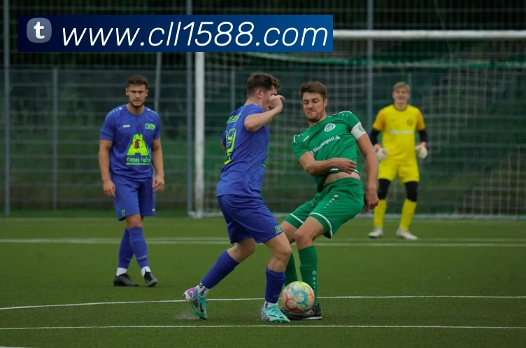 爱游戏ayx平台平台生态图